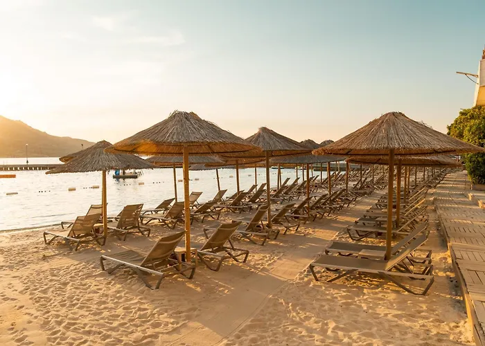 Delta By Marriott Bodrum Ośrodek wypoczynkowy 5*